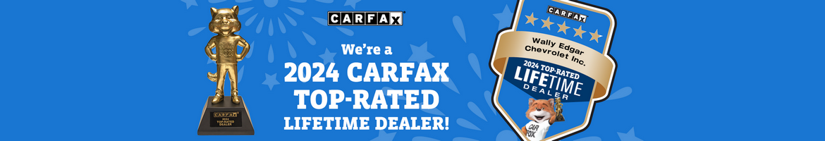 Life-time Dealer Dealer Award 