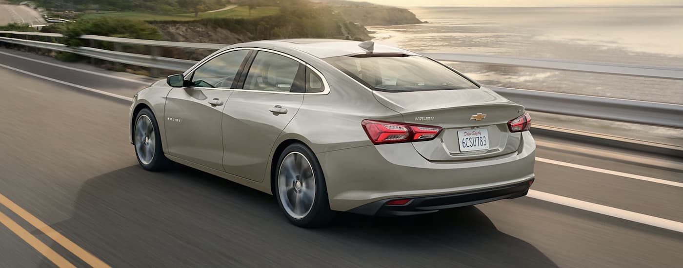 Rear of a tan 2026 Chevy Malibu driving down a road.